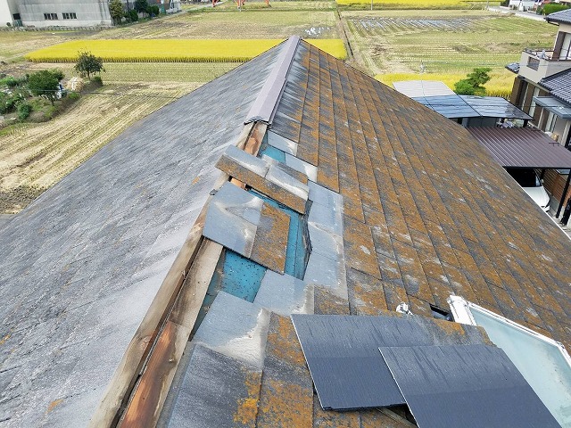 一部カラーベスト撤去